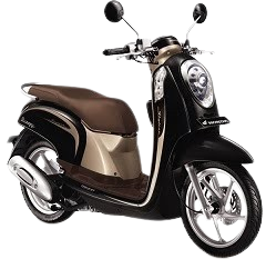 Scoopy ESP 110